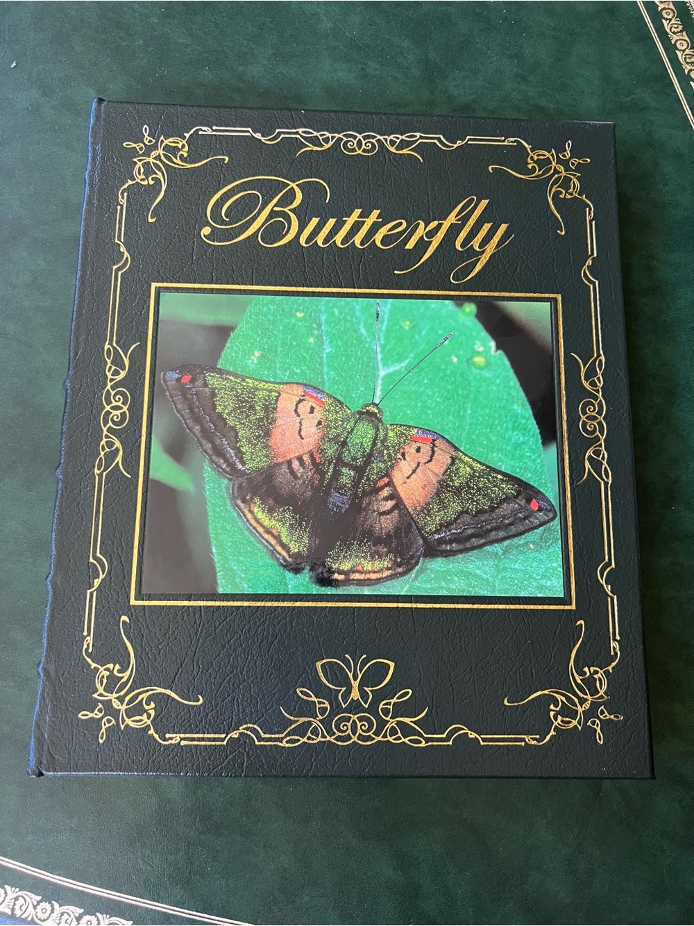 Collectible Hardcover Leather Coffee Table Book “Butterfly”